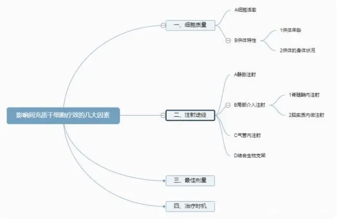 同樣是注射干細(xì)胞,為何效果存在差異化?