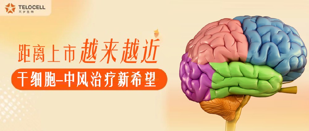 距離上市越來(lái)越近！中國(guó)有望迎來(lái)間充質(zhì)干細(xì)胞治療中風(fēng)的時(shí)代！