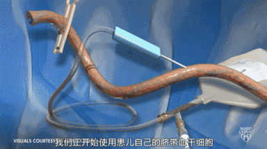細胞療法將成為未來醫(yī)學(xué)主流選擇的10個理由