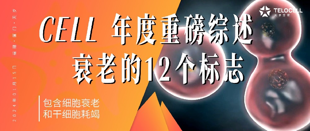 Cell年度重磅綜述首次提出衰老的12個標志，包含細胞衰老和干細胞耗竭！