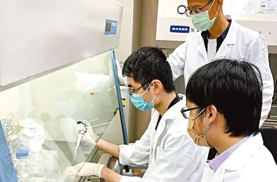 香港政府斥60億資助成立生命健康研發(fā)院,聚焦細(xì)胞和基因治療等前沿主題
