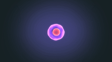 1731137139108878.gif 640 (1).gif
